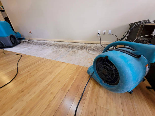 Professional Sewage Cleanup technician working in Newark, IL